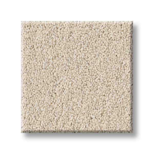 Style Executive Freedom Carpet - Cream Suede Swatch