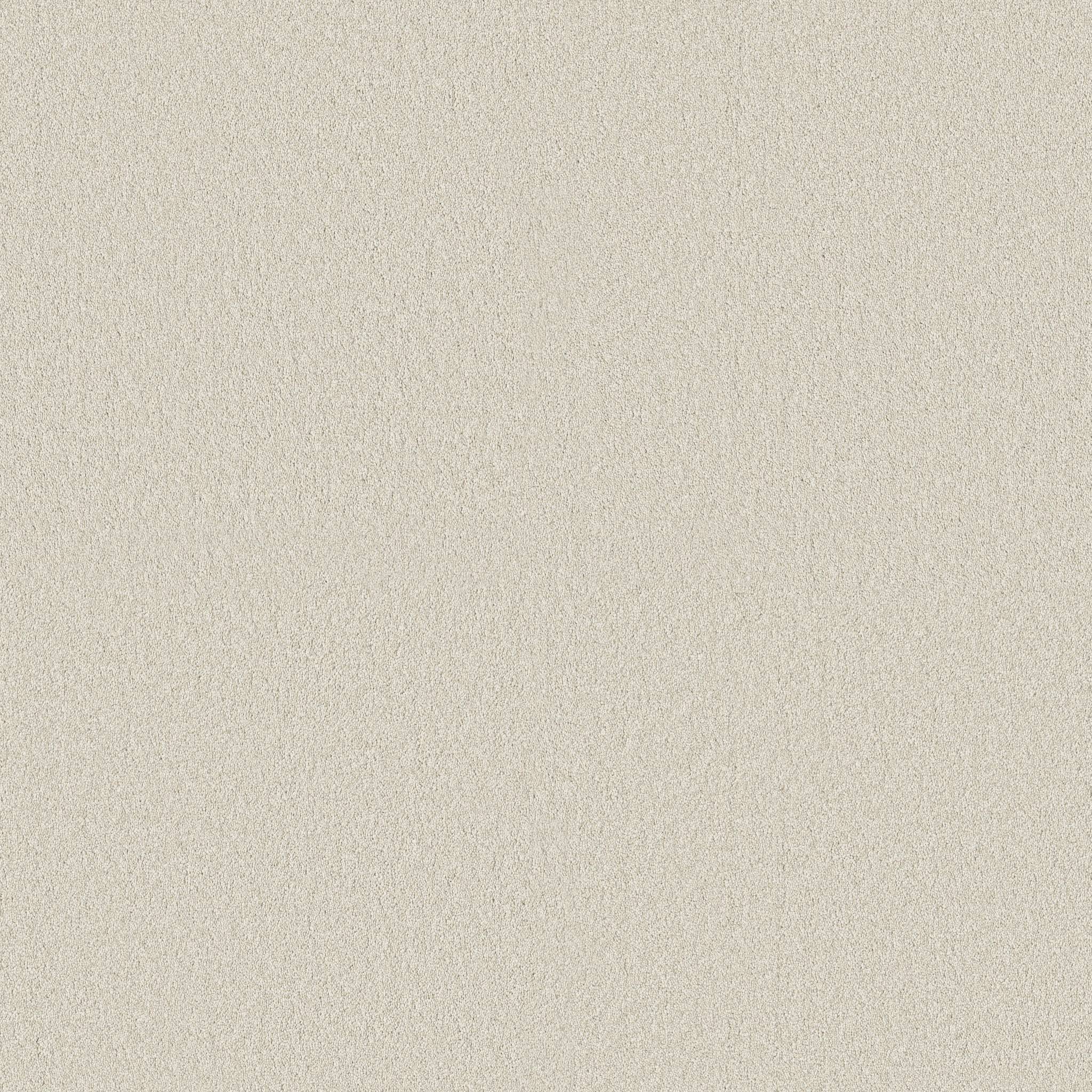 Executive Freedom Carpet - Sand Dollar Zoomed Swatch Image