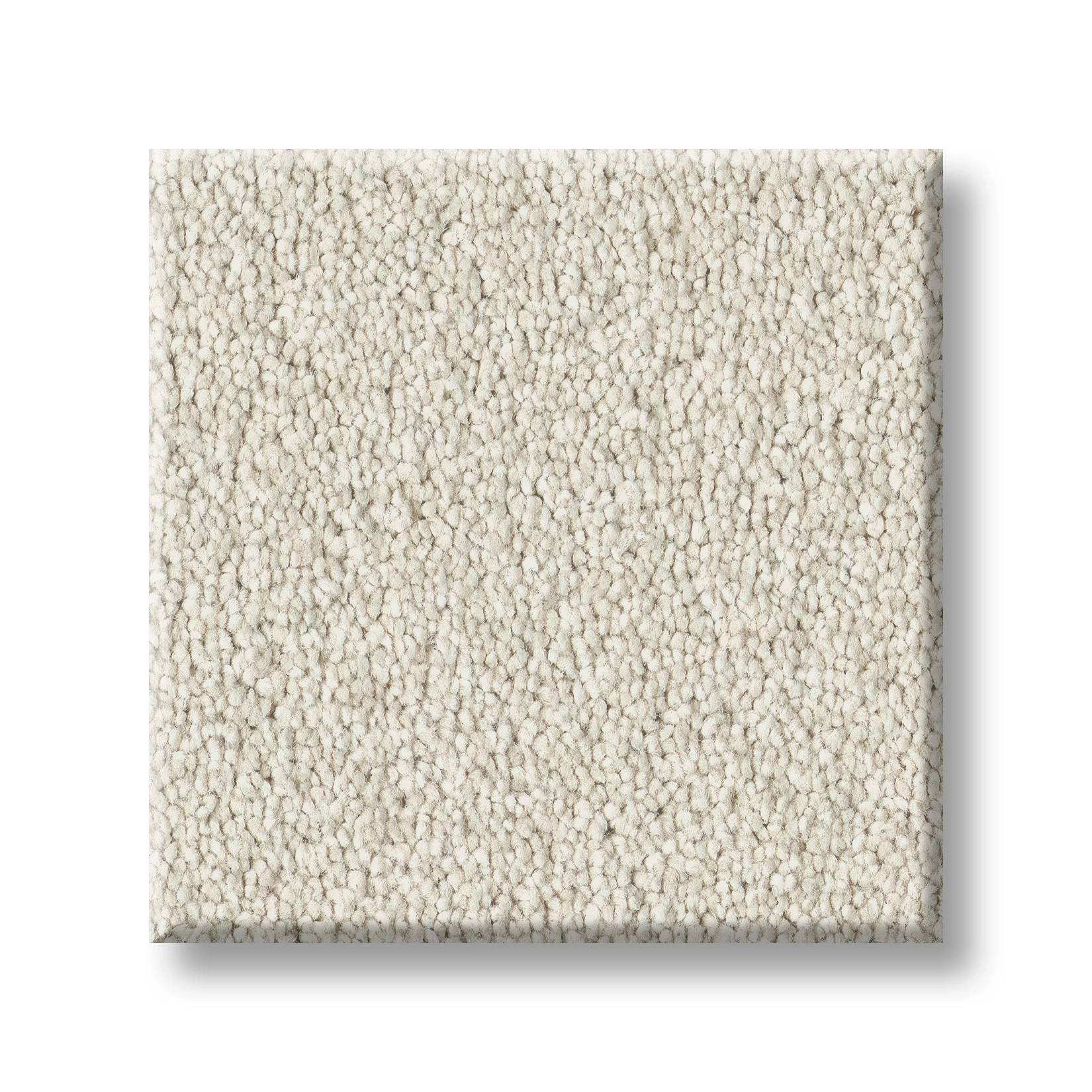 Executive Freedom Carpet - Sand Dollar Swatch Thumbnail pupop1