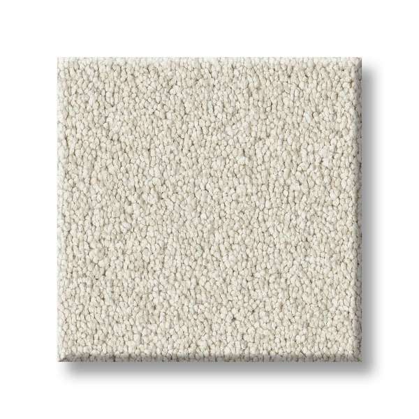 Style Executive Freedom Carpet - Sand Dollar Swatch