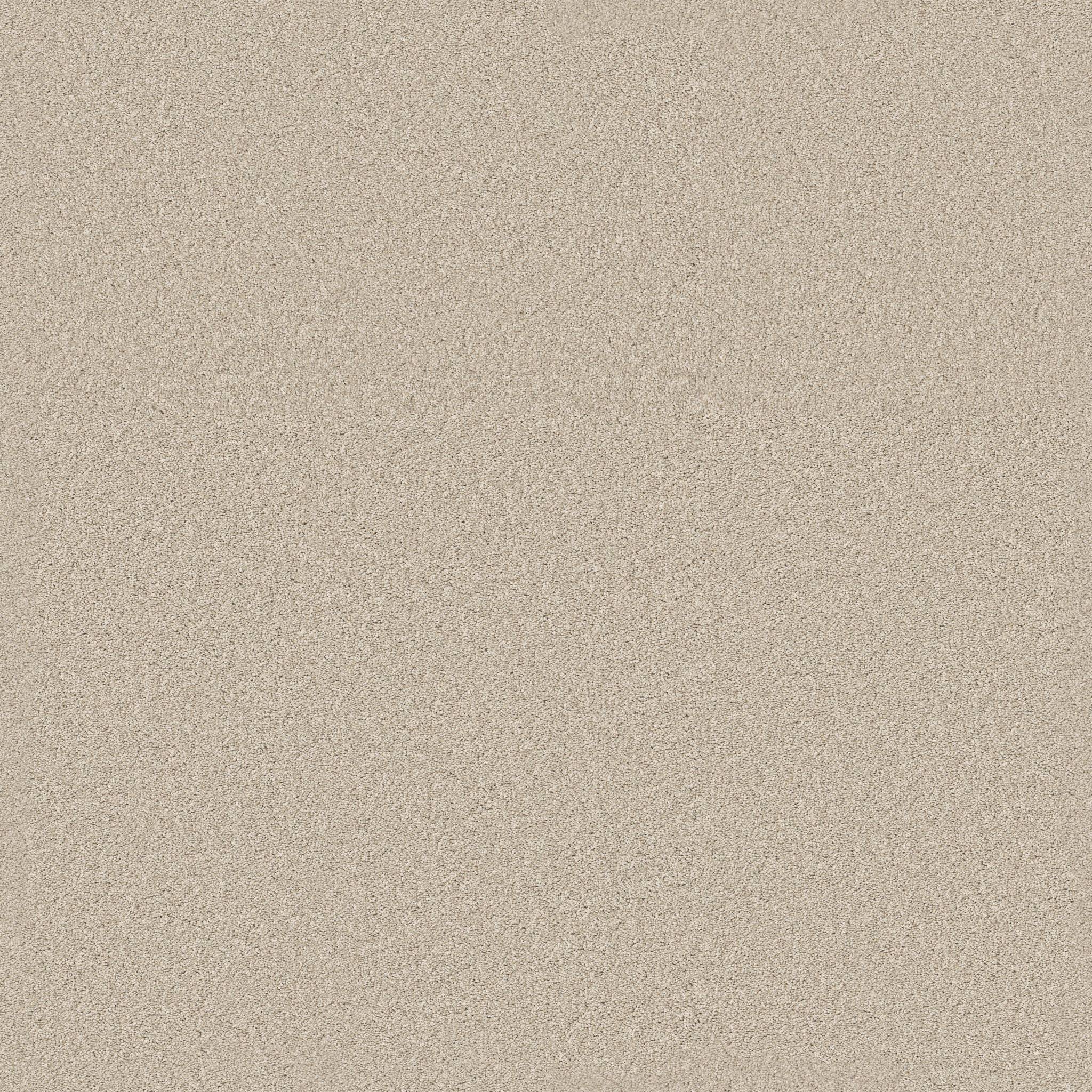 Executive Freedom Carpet - Velvet Haze Zoomed Swatch Image