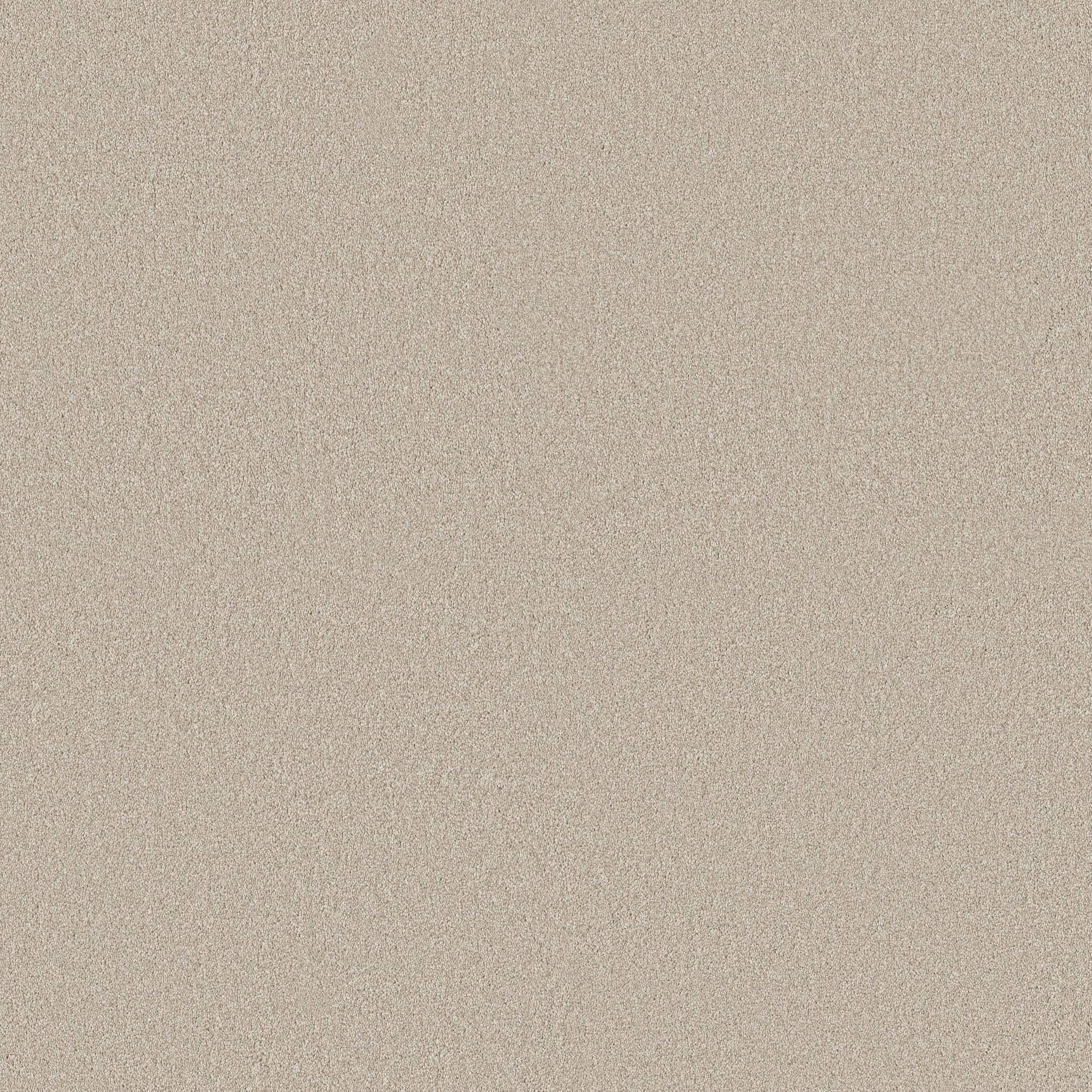 Executive Freedom Carpet - Oatmeal Zoomed Swatch Image