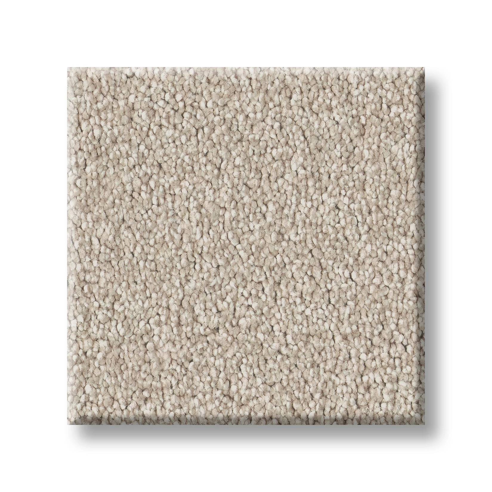 Executive Freedom Carpet - Oatmeal Swatch Thumbnail pupop1