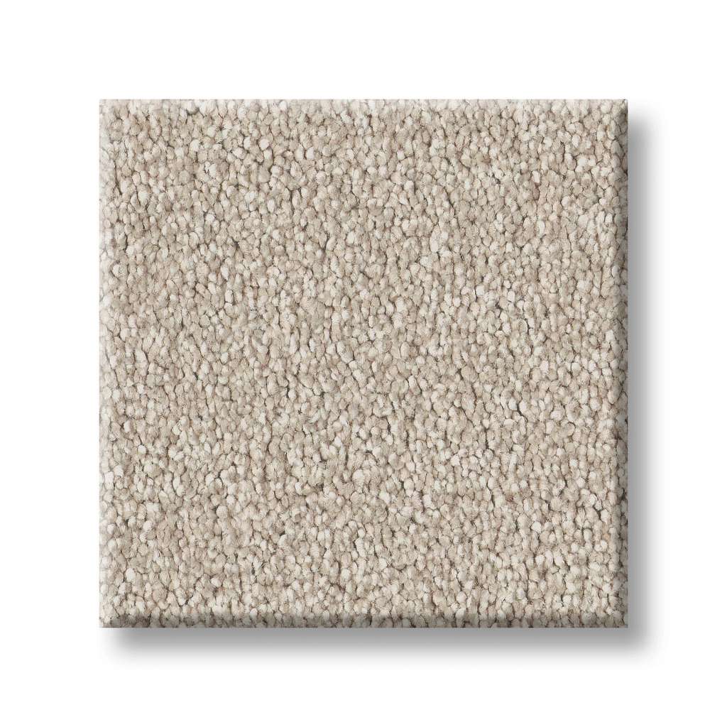 Executive Freedom Carpet - Oatmeal  Swatch Image 