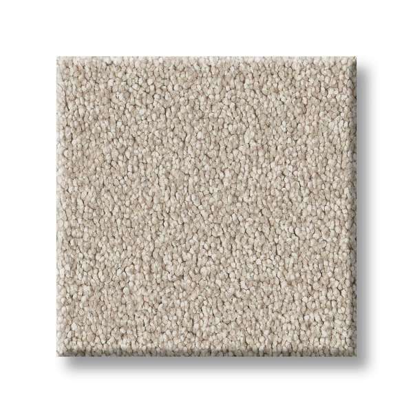 Style Executive Freedom Carpet - Oatmeal Swatch
