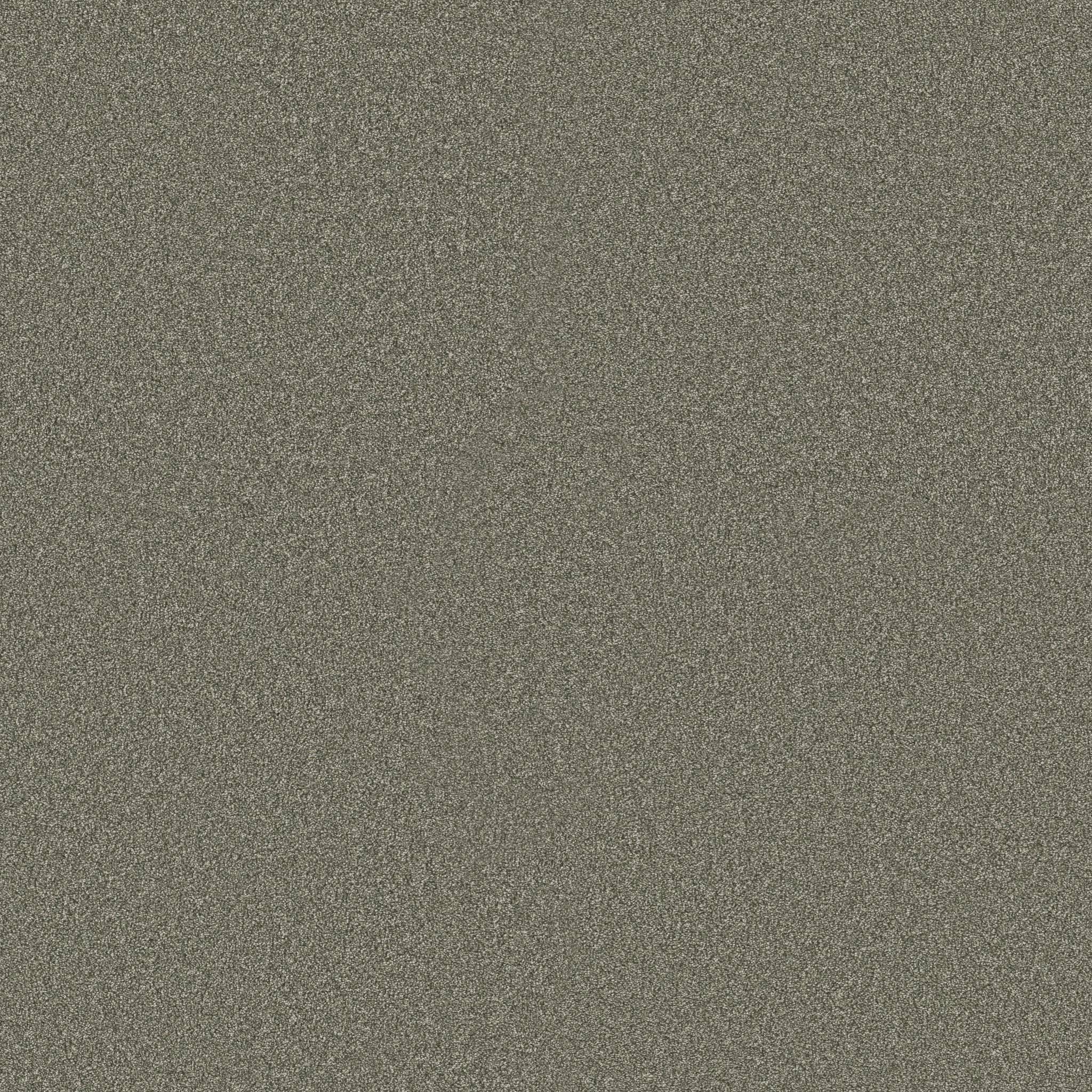 Executive Freedom Carpet - Ivy Way Zoomed Swatch Image
