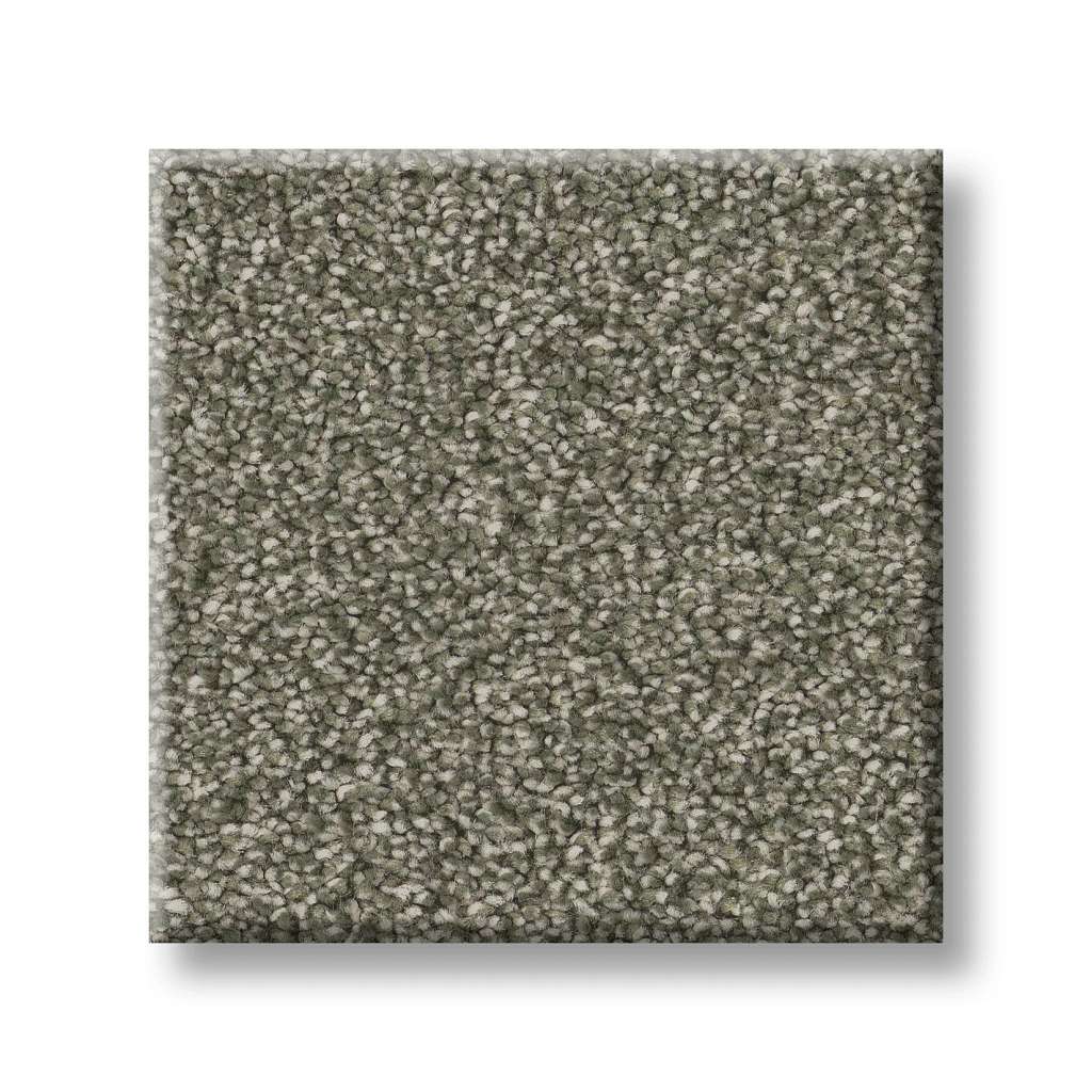 Executive Freedom Carpet - Ivy Way  Swatch Image 