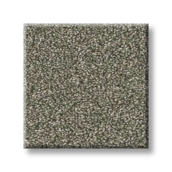 Style Executive Freedom Carpet - Ivy Way Swatch