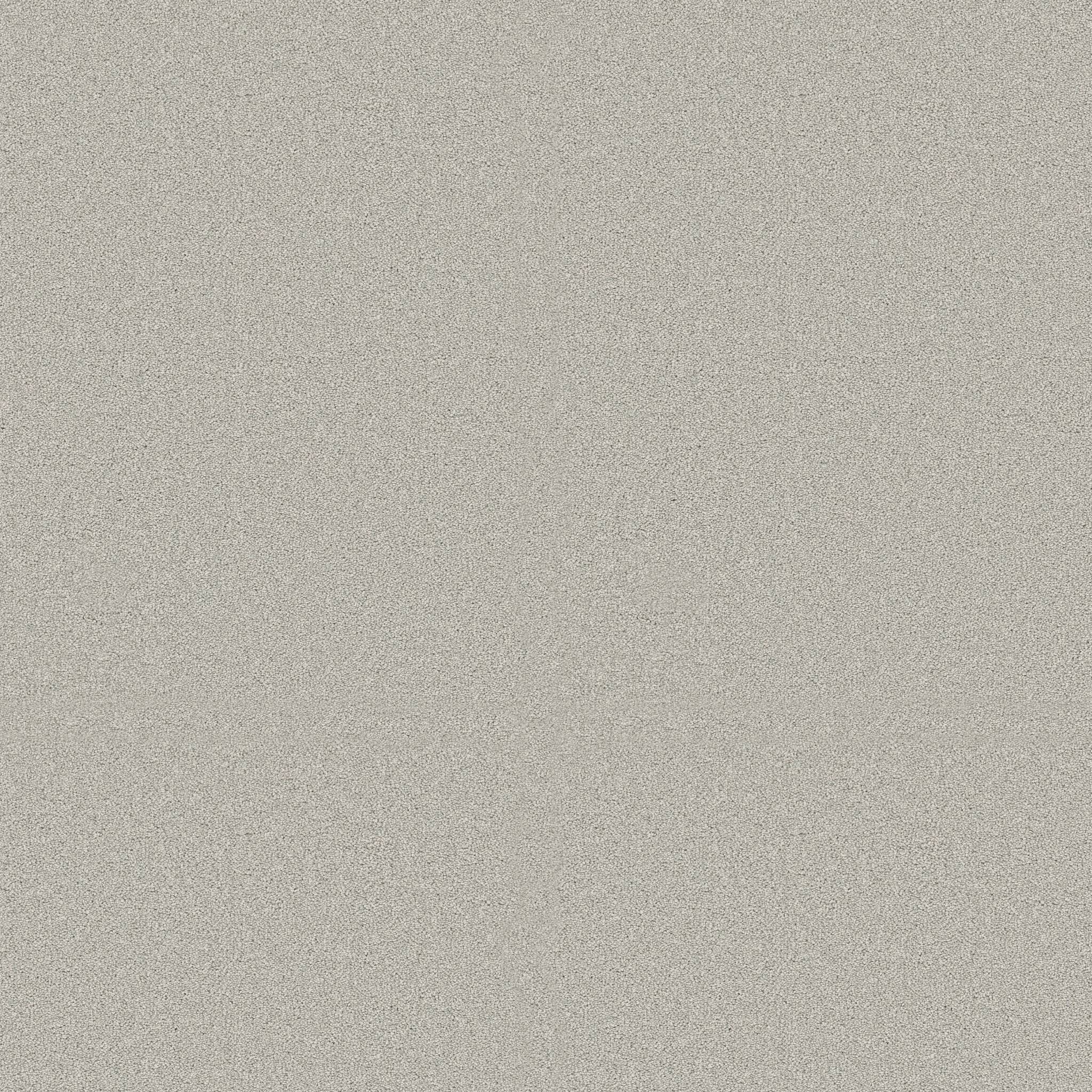 Executive Freedom Carpet - Icicle Zoomed Swatch Image