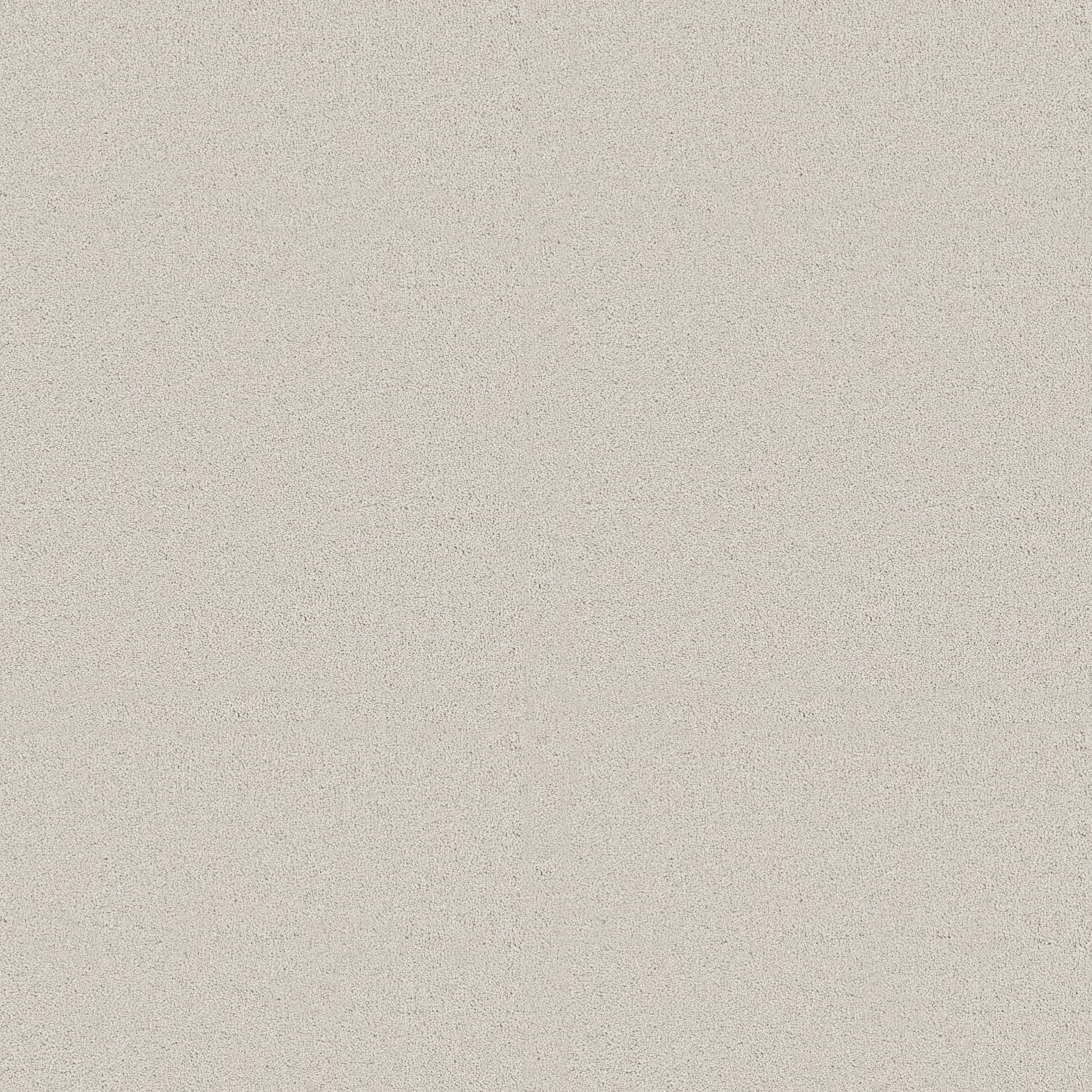 Executive Freedom Carpet - Silver Mist Zoomed Swatch Image