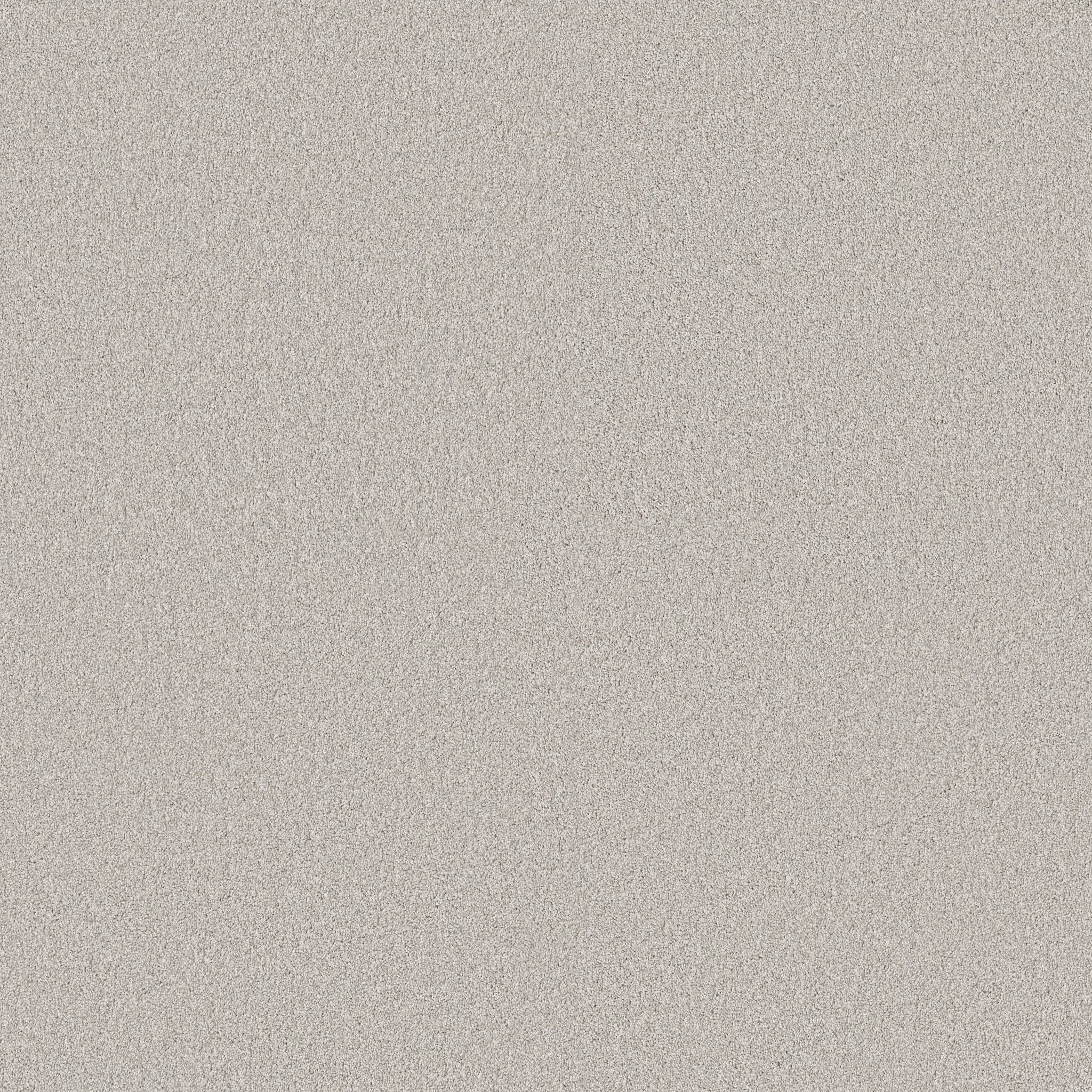 Executive Freedom Carpet - Moonstone Zoomed Swatch Image