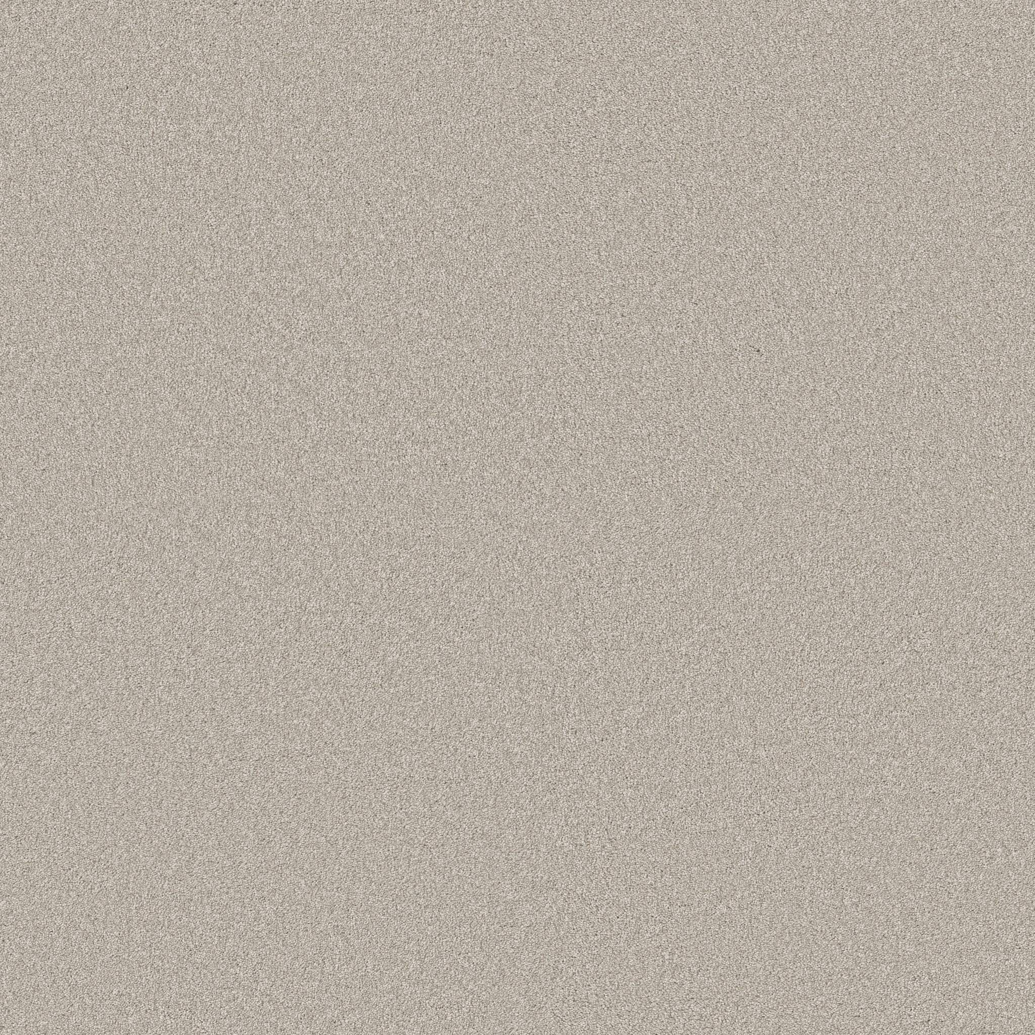 Executive Freedom Carpet - Whisper Zoomed Swatch Image