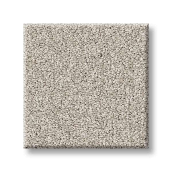 Style Executive Freedom Carpet - Whisper Swatch