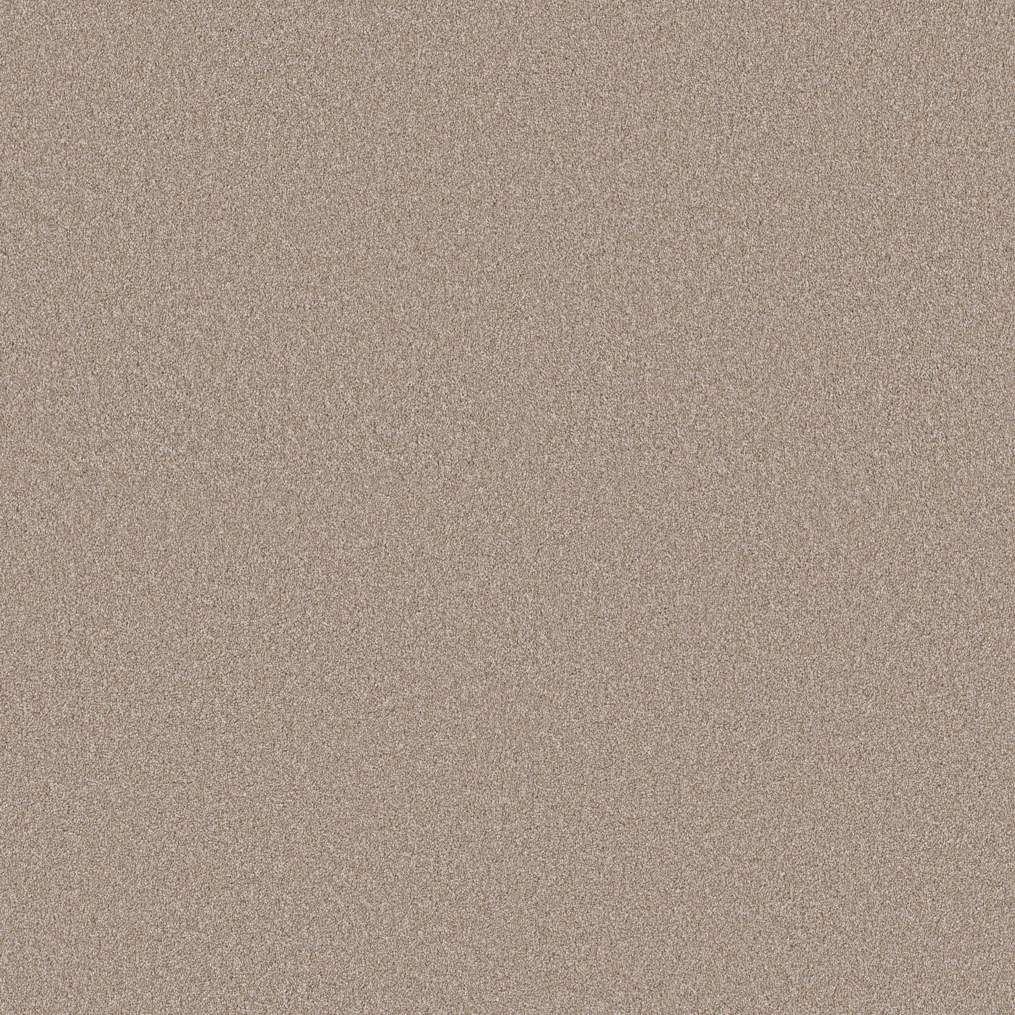 Executive Freedom Carpet - Cinnamon Zoomed Swatch Image