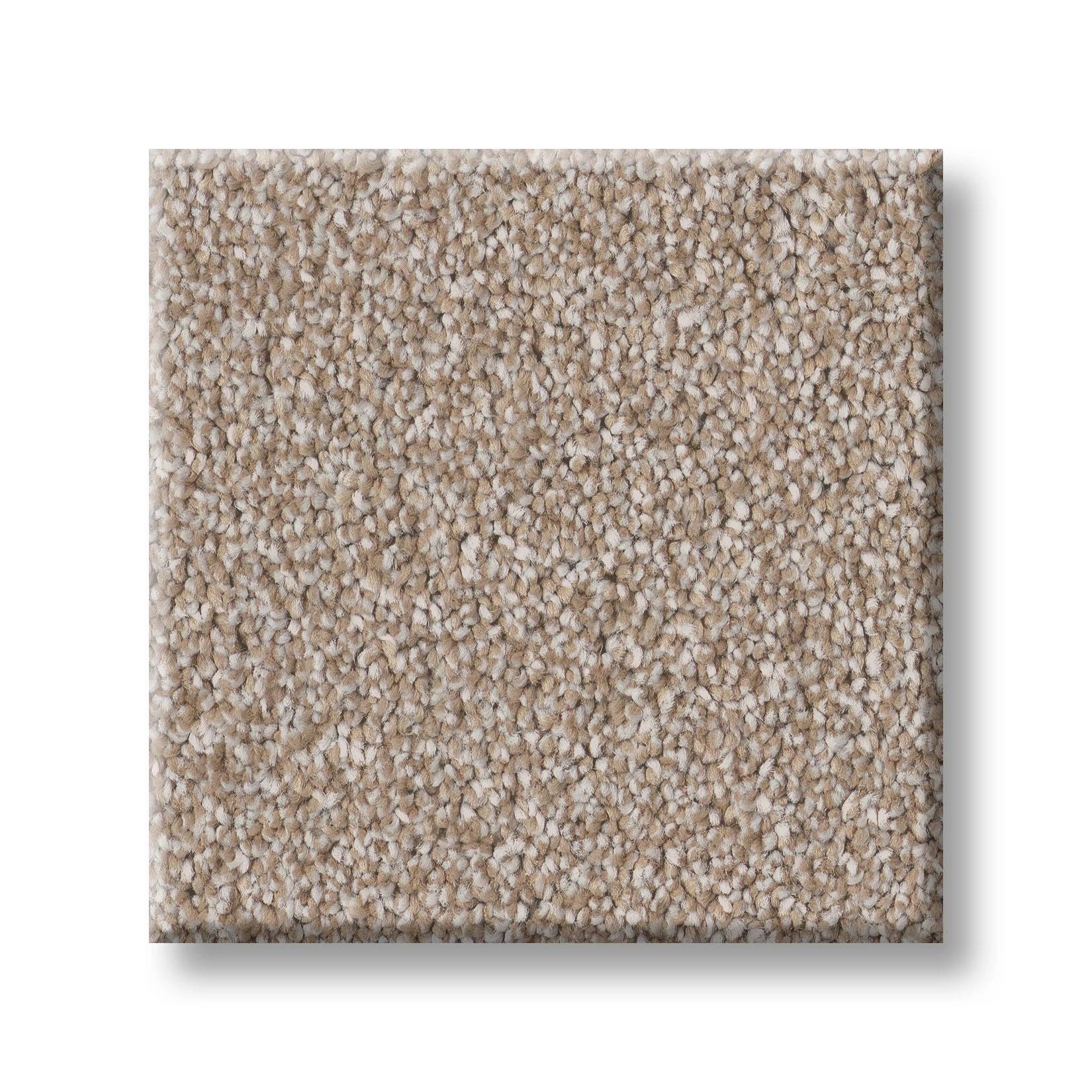 Executive Freedom Carpet - Cinnamon Swatch Thumbnail pupop1