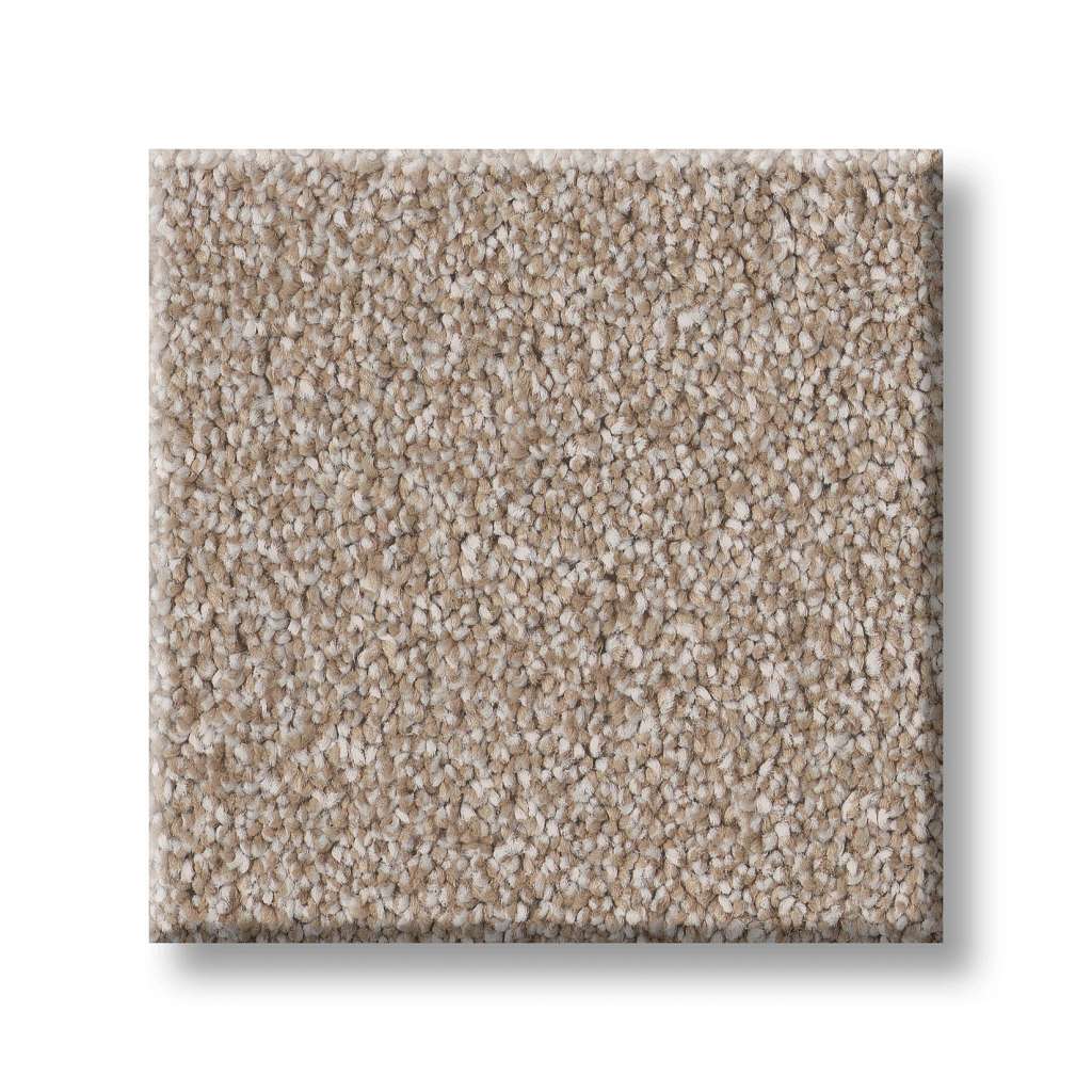 Executive Freedom Carpet - Cinnamon  Swatch Image 