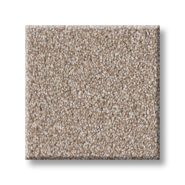 Style Executive Freedom Carpet - Cinnamon Swatch