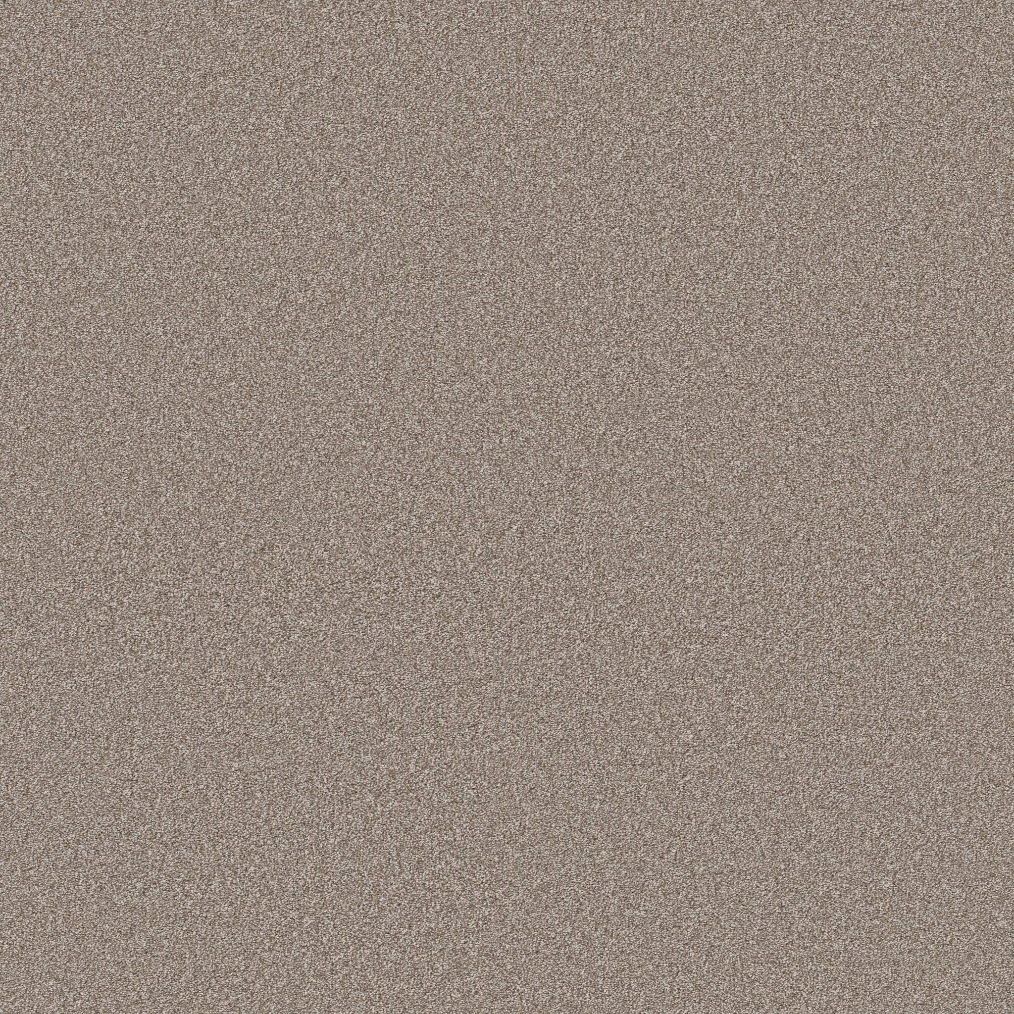 Executive Freedom Carpet - Brown Sugar Zoomed Swatch Image