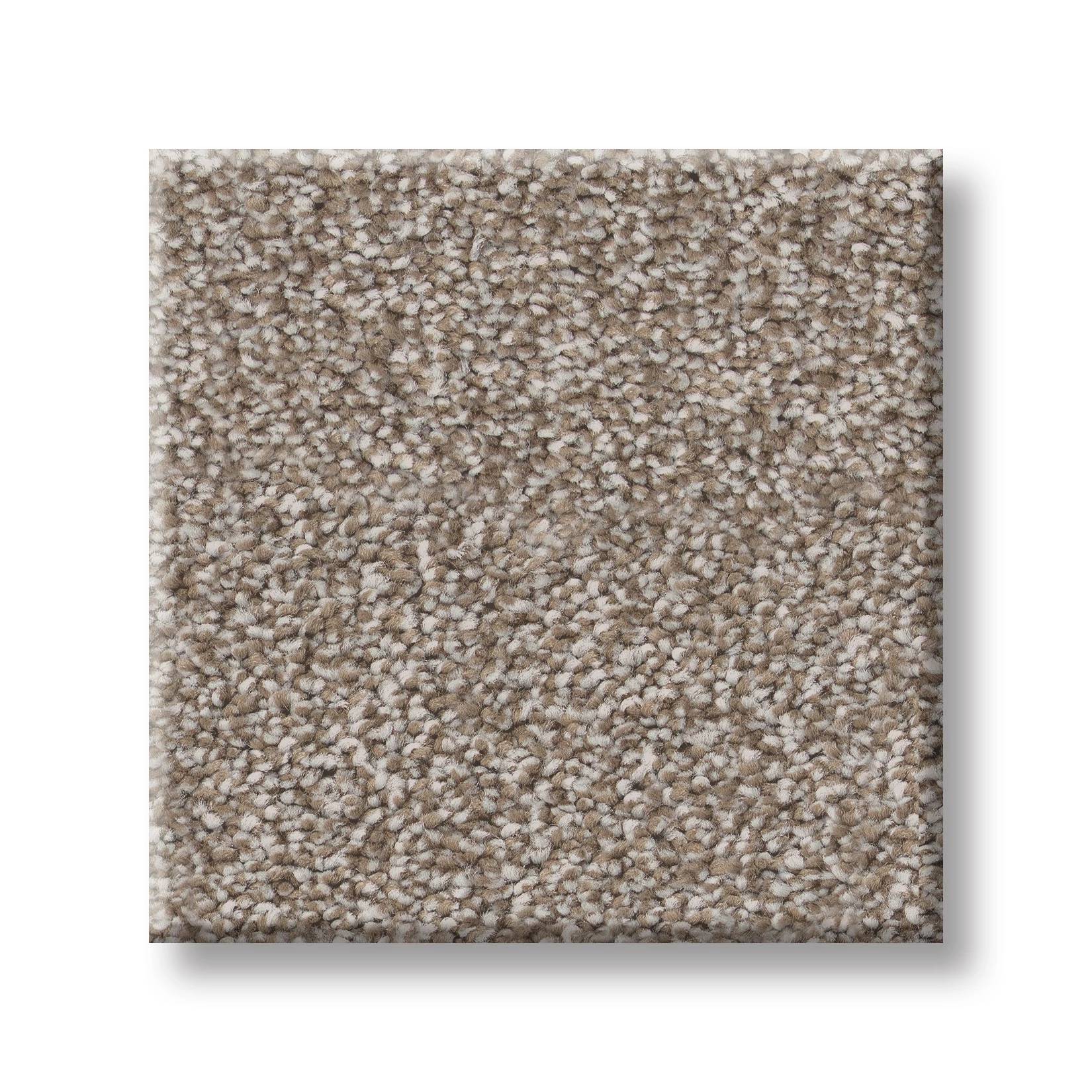 Executive Freedom Carpet - Brown Sugar Swatch Thumbnail pupop1