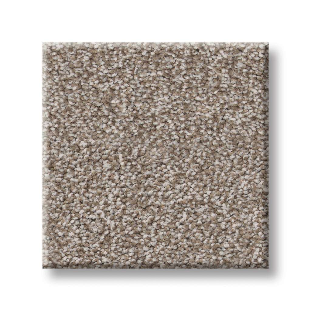 Executive Freedom Carpet - Brown Sugar  Swatch Image 