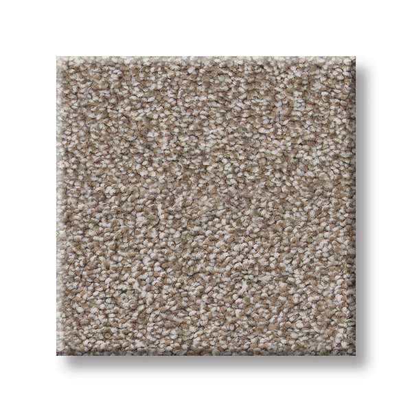 Style Executive Freedom Carpet - Brown Sugar Swatch
