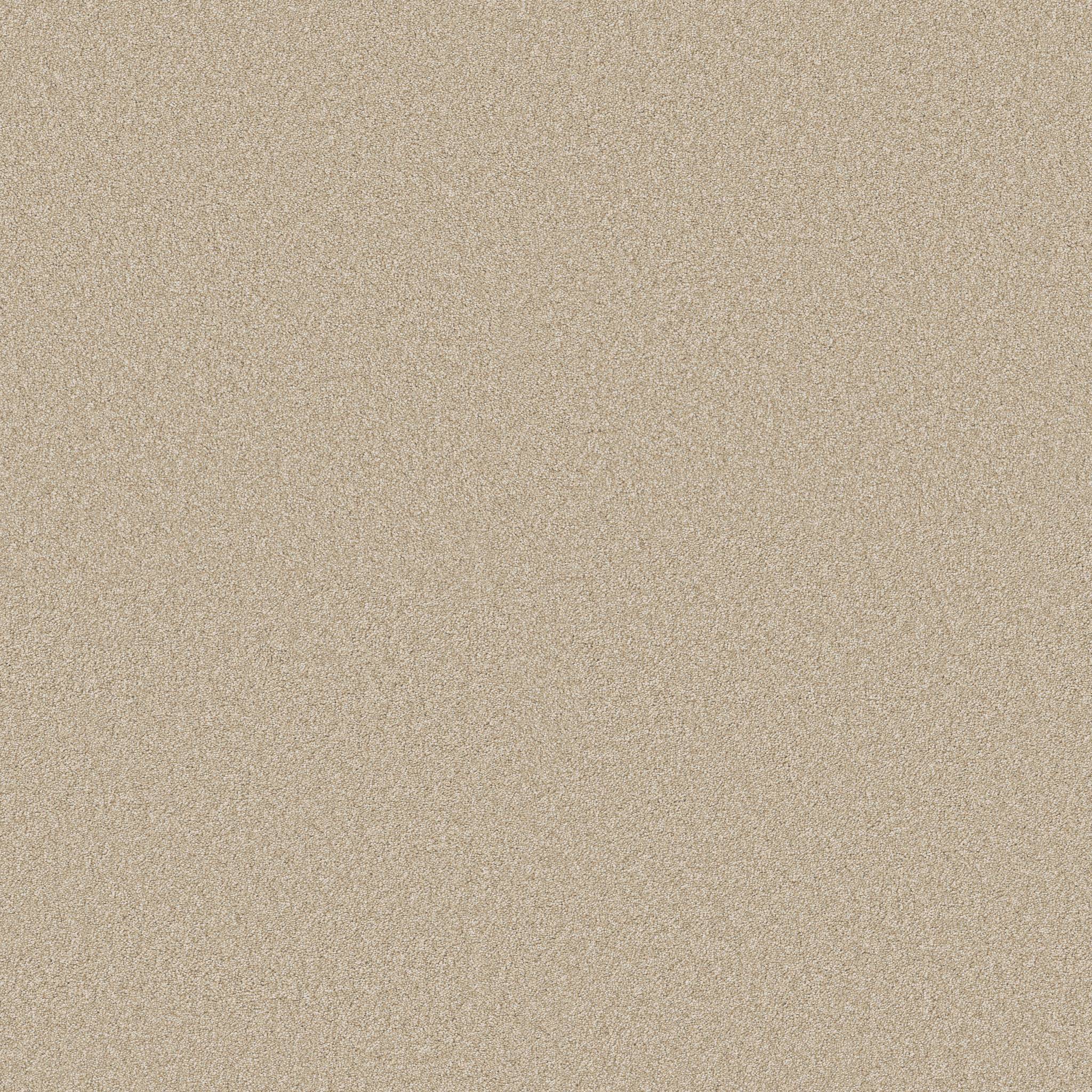Executive Freedom Carpet - Khaki Zoomed Swatch Image