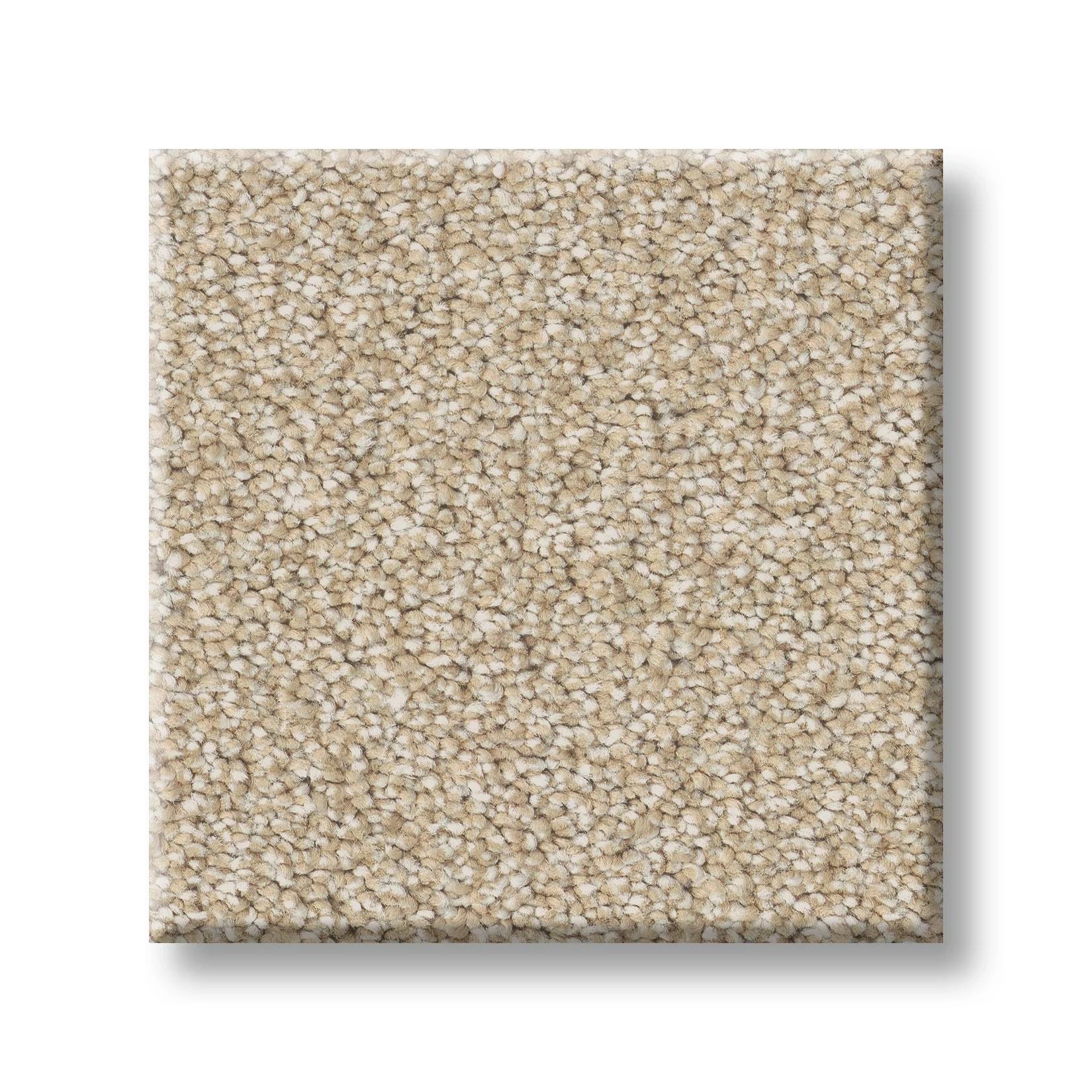 Executive Freedom Carpet - Khaki Swatch Thumbnail pupop1