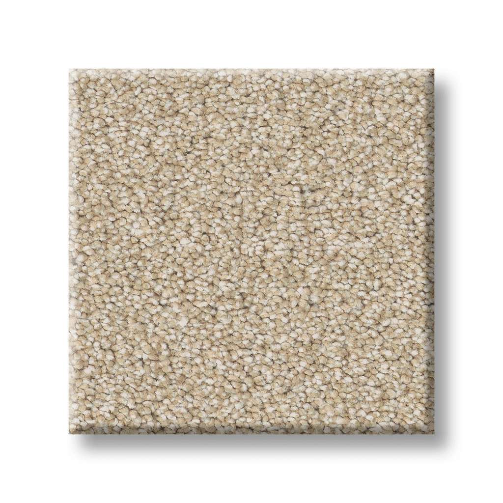 Executive Freedom Carpet - Khaki  Swatch Image 