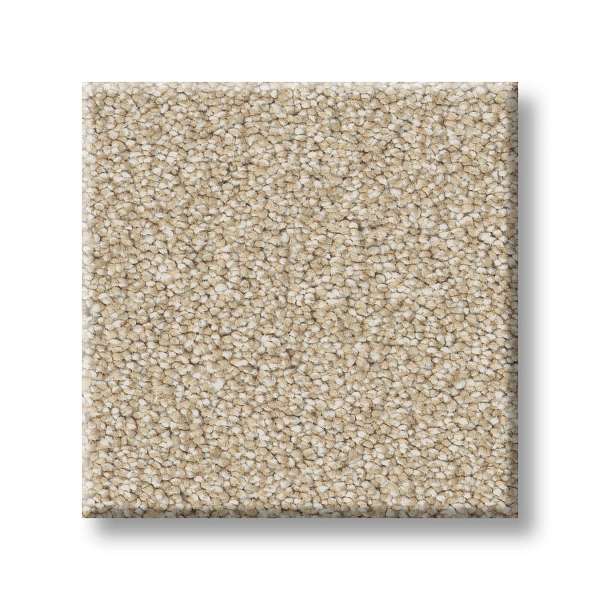 Style Executive Freedom Carpet - Khaki Swatch