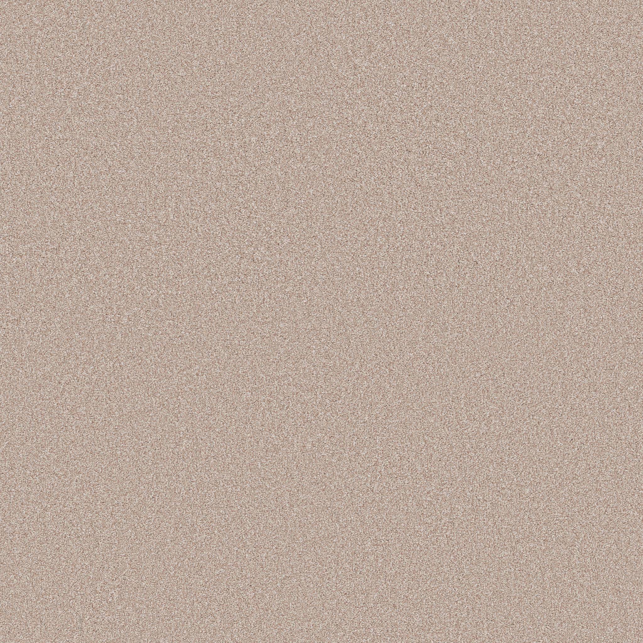 Executive Freedom Carpet - Petals Zoomed Swatch Image