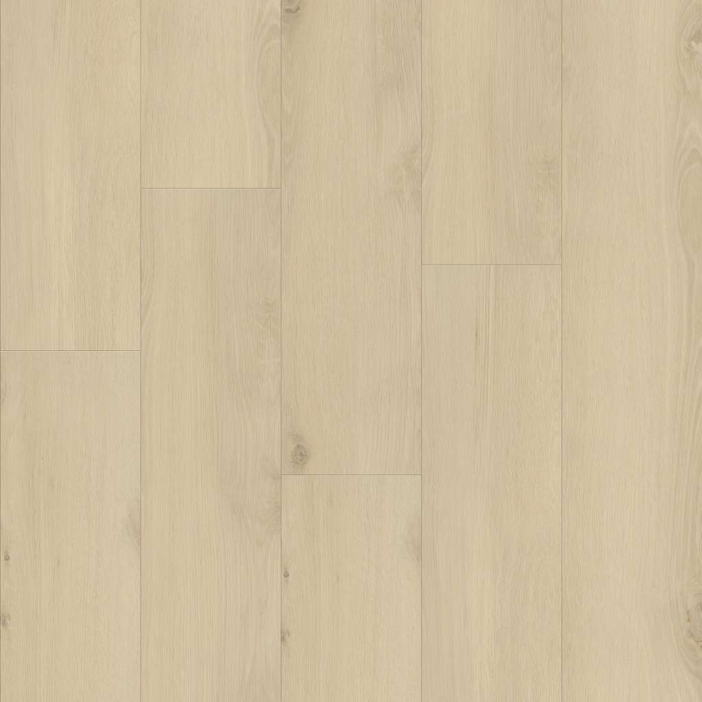 Protector Vinyl - White Sands  Swatch Image 