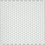 00100 WHITE HEX