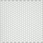 00100 WHITE HEX