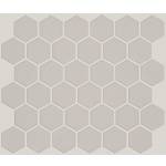 00500 WARM GREY
