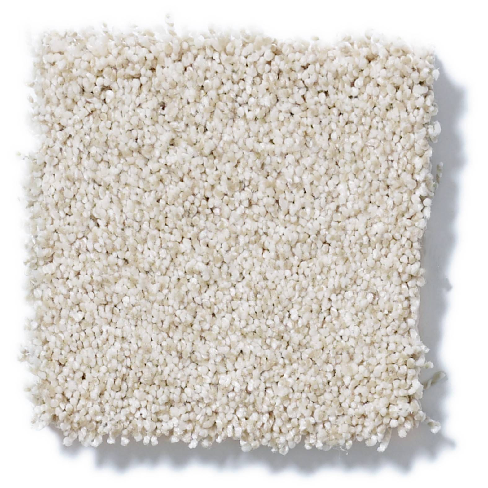 Take The Floor Tonal I