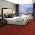 COLOR-ACCENTS-18-X-36-54786-SUNDRIED-62870-room-image