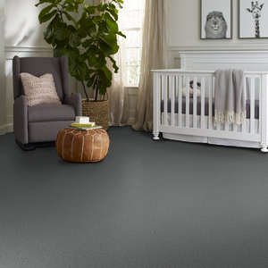 Style Selections Carolina Coast II Misty Rain Textured Indoor Carpet in the  Carpet department at