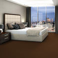 LATEST-TREND-54098-BROWN-BEAR-98751-room-image