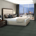 COLOR-ACCENTS-54462-EUCALYPTUS-62320-room-image