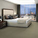 COLOR-ACCENTS-54462-SAGE-62327-room-image