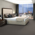 COLOR-ACCENTS-54462-DOLPHIN-62557-room-image