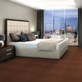COLOR-ACCENTS-54462-CHOCOLATE-62713-room-image