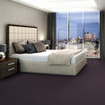 COLOR-ACCENTS-54462-EGGPLANT-62990-room-image