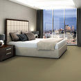 COLOR-ACCENTS-BL-54584-GILDED-62103-room-image