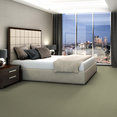 COLOR-ACCENTS-BL-54584-LIGHT-TAUPE-62104-room-image
