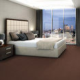 COLOR-ACCENTS-BL-54584-CHOCOLATE-62713-room-image