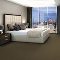 COLOR-ACCENTS-BL-54584-SUEDE-62740-room-image
