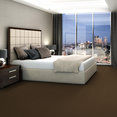 COLOR-ACCENTS-BL-54584-COFFEE-62750-room-image