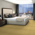 COLOR-ACCENTS-18-X-36-54786-OCHRE-62210-room-image