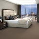 PROFUSION-20-54933-AMPLE-00230-room-image
